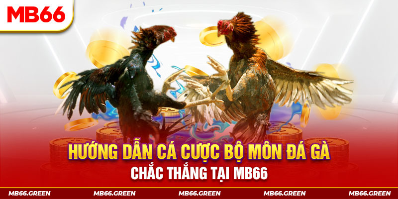 vn123 win CQ9 Điện Tử