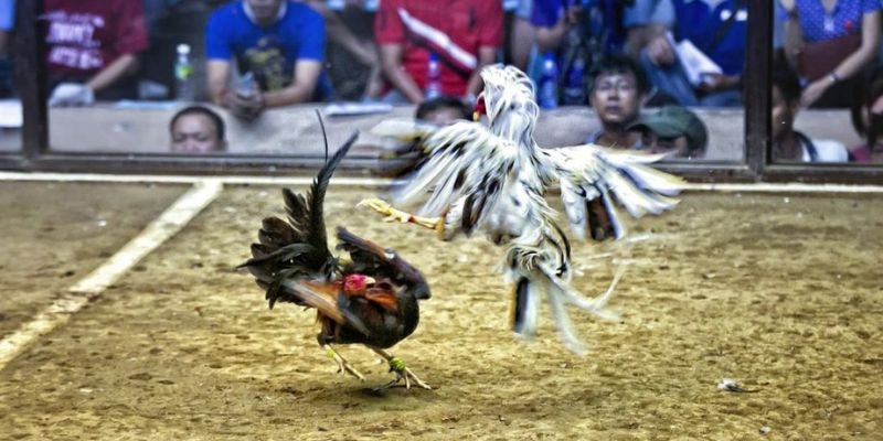 vn123 win xổ số miền bắc hôm quả