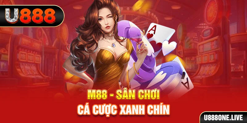 vn123 win gà chọi cậu thanh