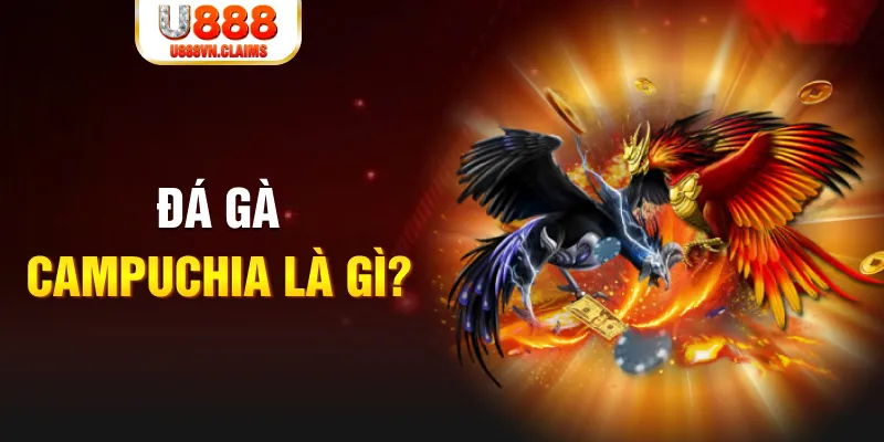 vn123 win xổ số miền nam thứ sáu