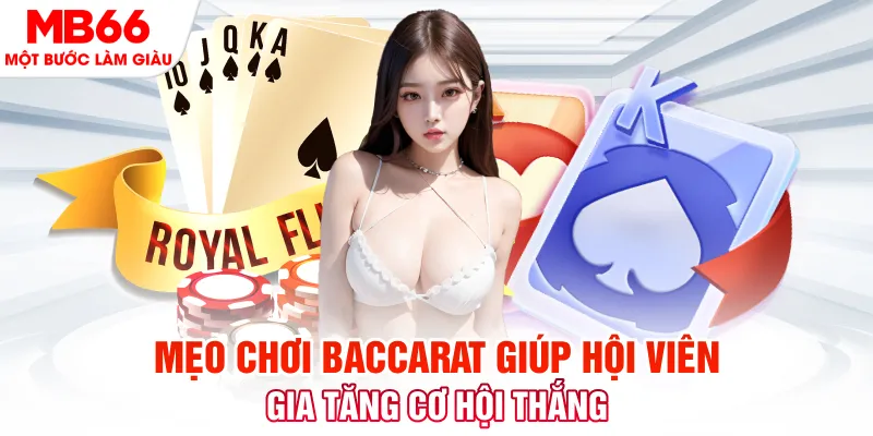 vn123 win đá gà 88