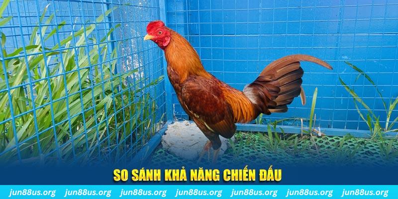 vn123 win xổ số tiền giang