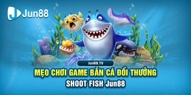 vn123 win tai game danh bai bigkool ve may tinh