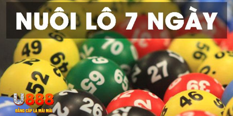 vn123 win ON Trực Tuyến