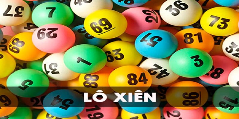 vn123 win what is a casino comp program