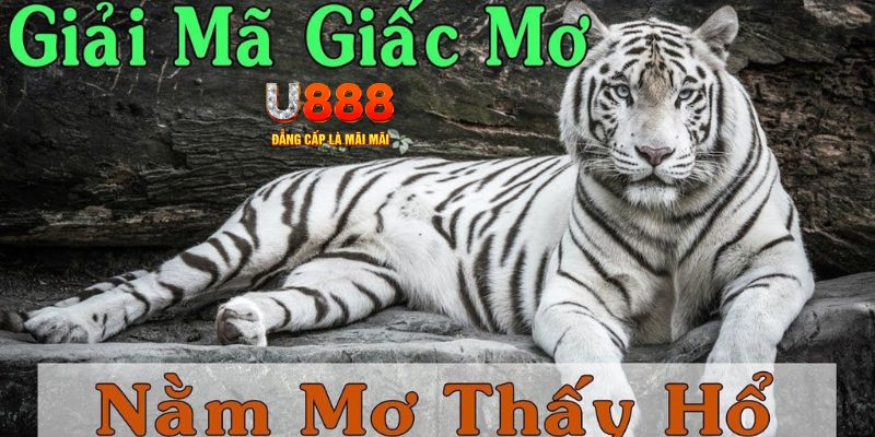 vn123 win xổ số kiến thiết miền bắc