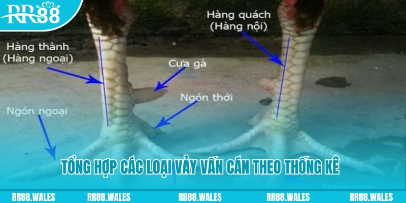 vn123 win nổ hũ chơi như thế nào