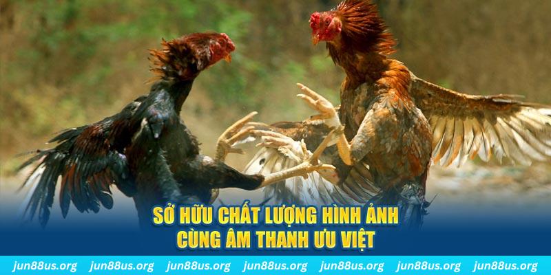 vn123 win tai game danh bai ve may tinh