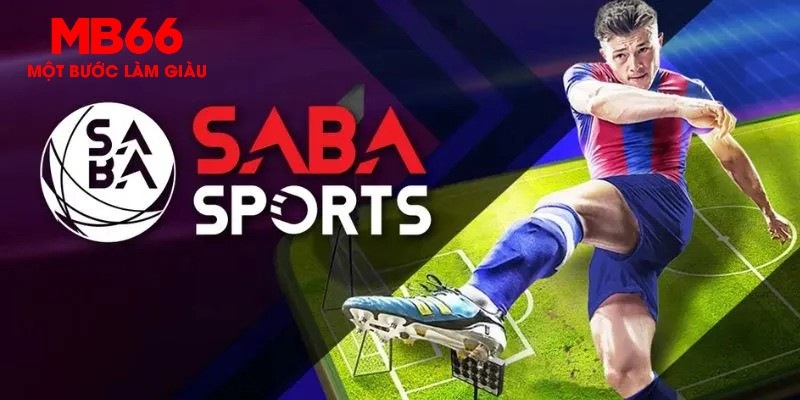 vn123 win how to win baccarat