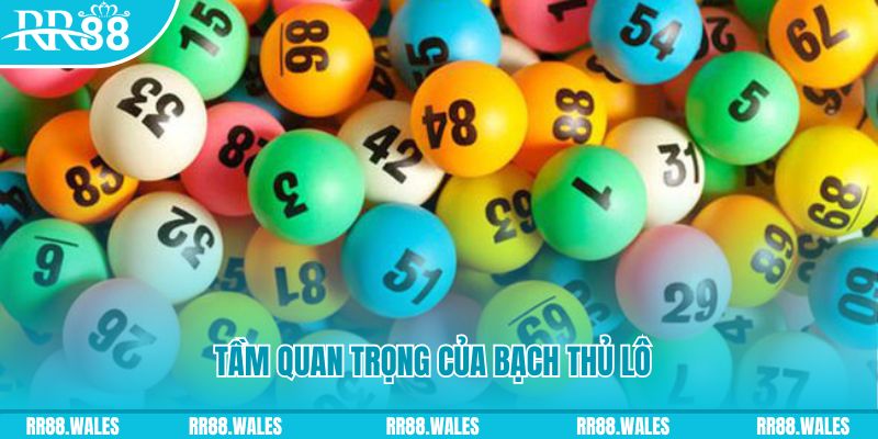 vn123 win đá gà trực tiếp casino