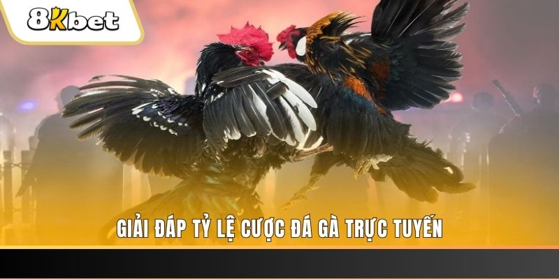 vn123 win xổ số ba đài