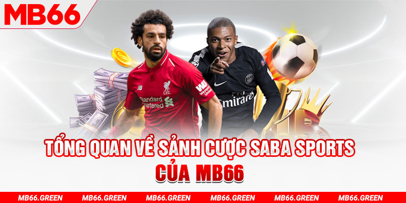 vn123 win slot có nghĩa là gì