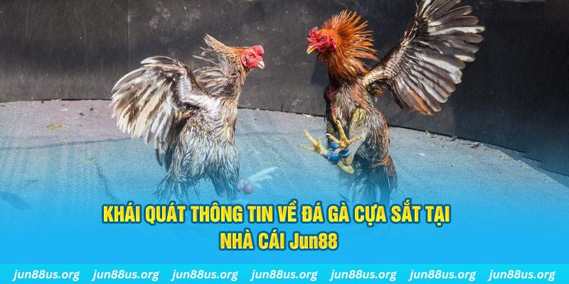 vn123 win game bài trên máy tính