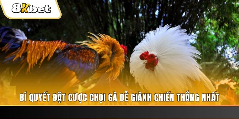 vn123 win xo so