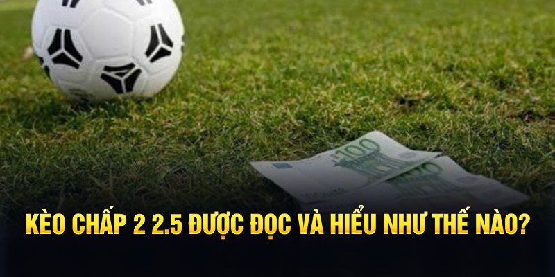 vn123 win đá gà thomo
