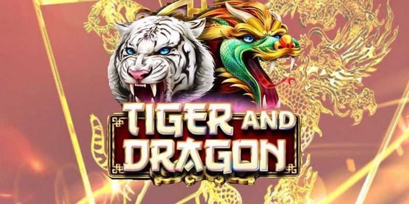 vn123 win 888 slot là gì