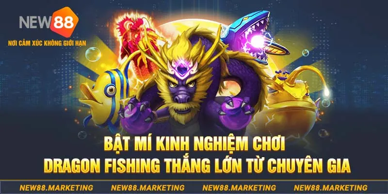 vn123 win who wants to be a millionaire slot