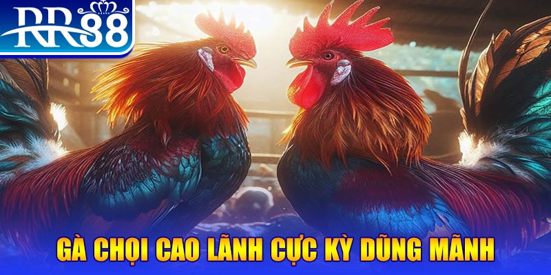 vn123 win natural” trong baccarat nghĩa là gì？
