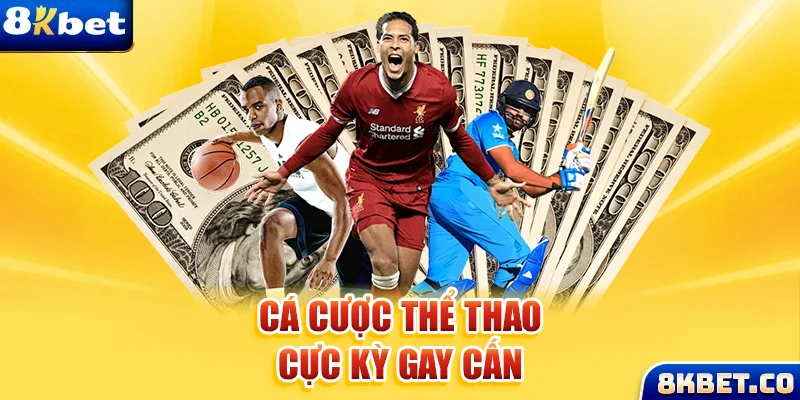 vn123 win Bữa tiệc dành cho thanh thiếu niên
